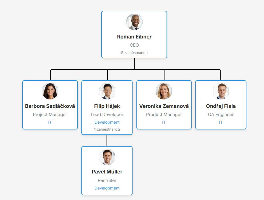 Organizační struktura